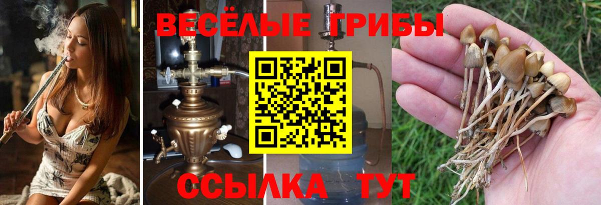 Ялта  Галлюциногенные грибы GOLDEN TEACHER  Вход с VPN  Псилоцибиновые грибы Magic Shrooms 